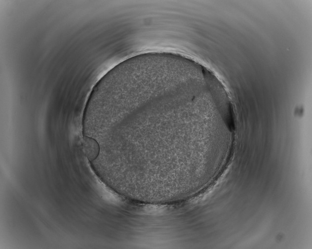 X0000099451521200805301501