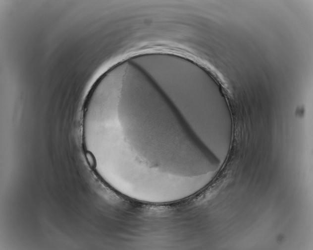 X0000099451522200805301501