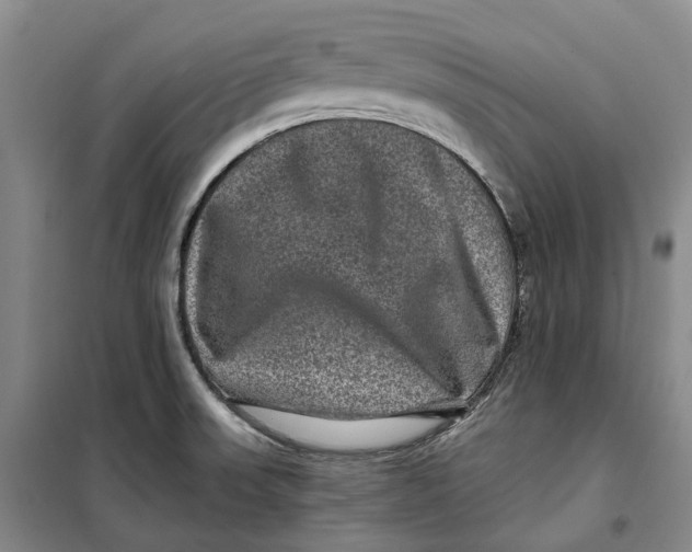 X0000099451523200805301501