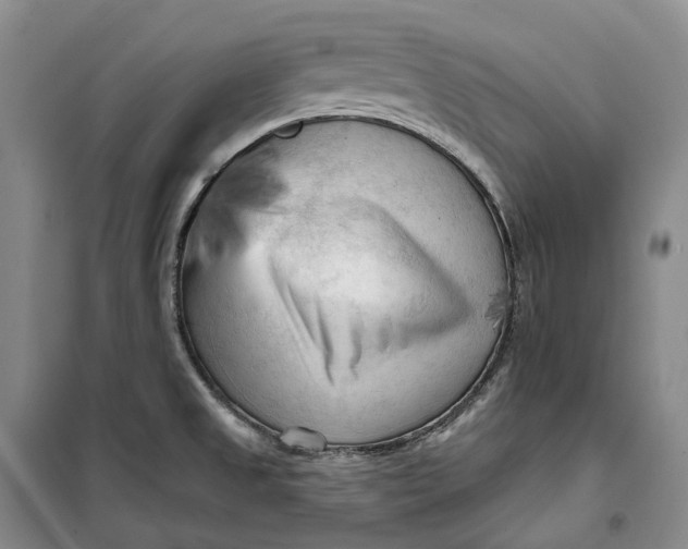 X0000099451525200805301501