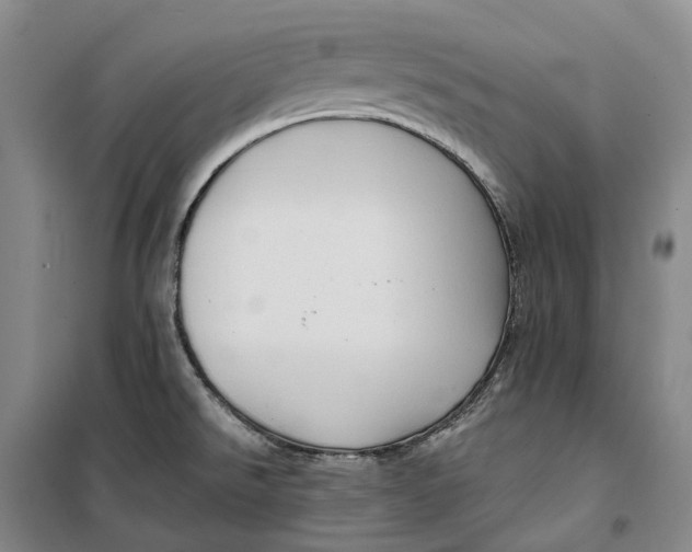 X0000099451526200805301501