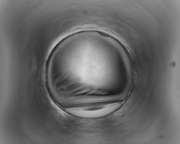 X0000099451527200805301501