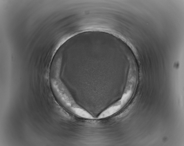 X0000099451529200805301501