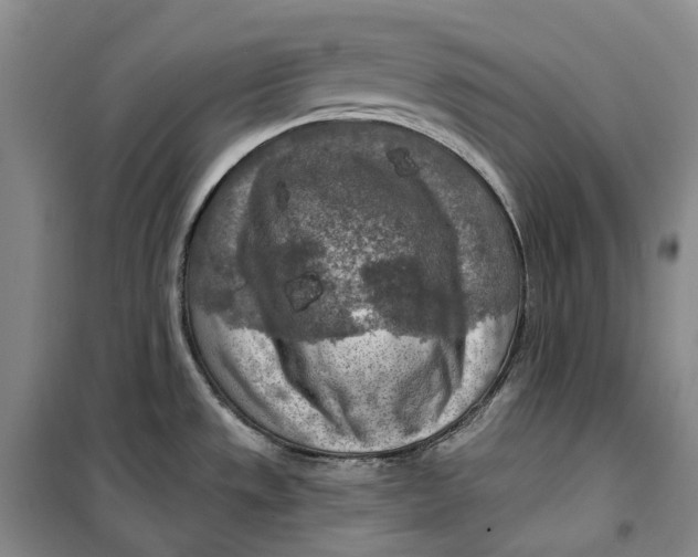 X0000099451533200805301501