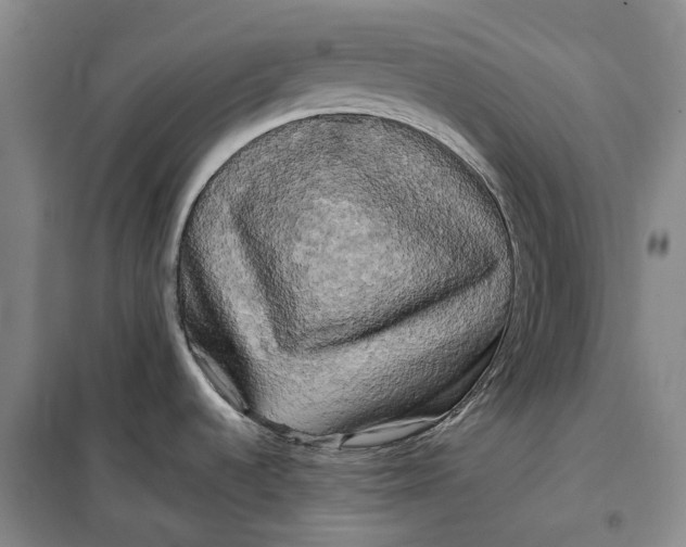 X0000099451536200805301501