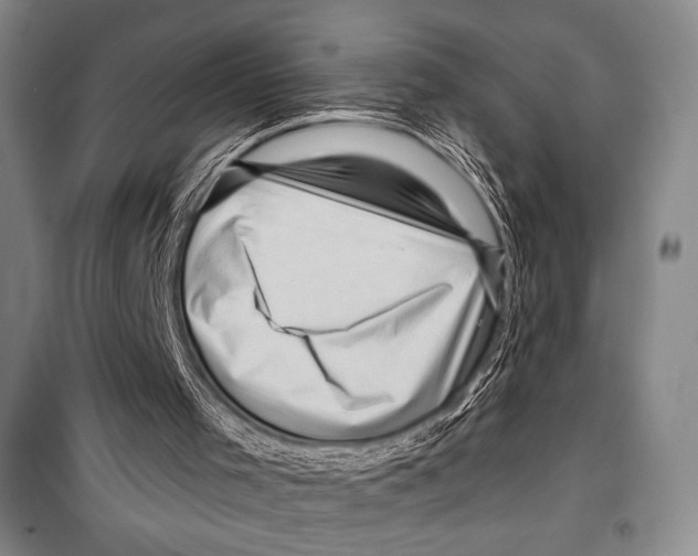 X0000099450001200806061116