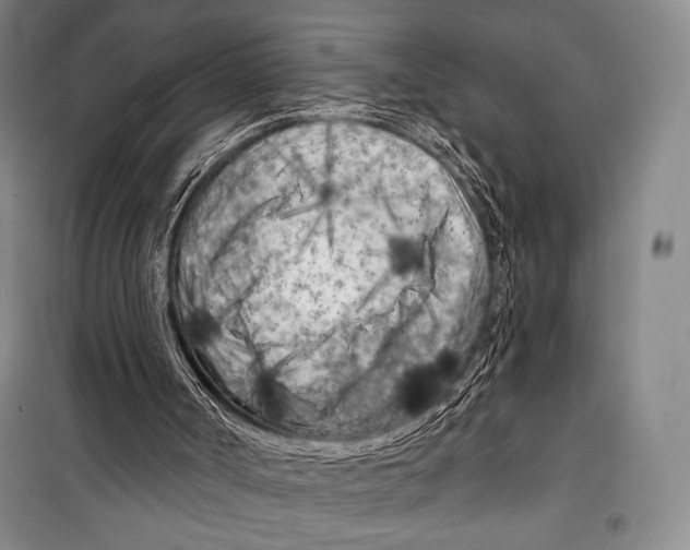 X0000099450002200806061116