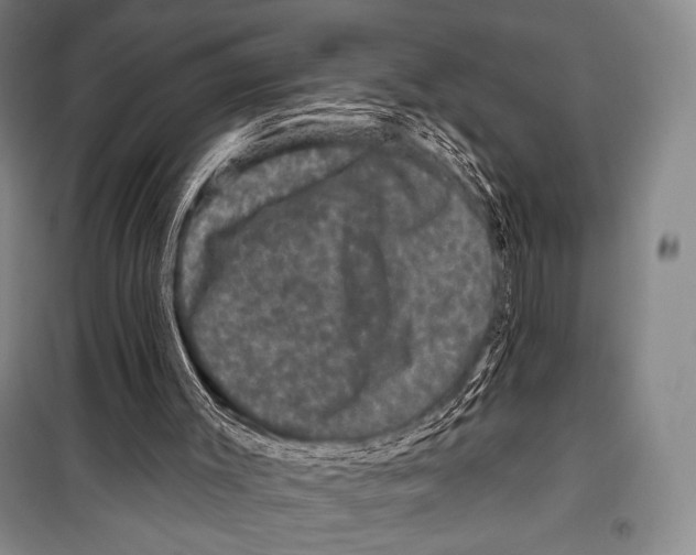 X0000099450003200806061116