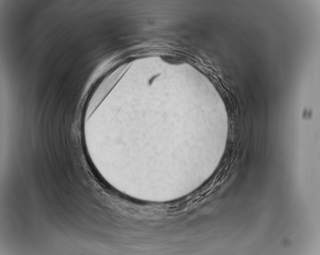 X0000099450004200806061116