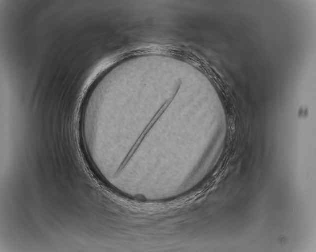 X0000099450006200806061116