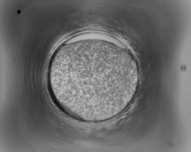 X0000099450007200806061116