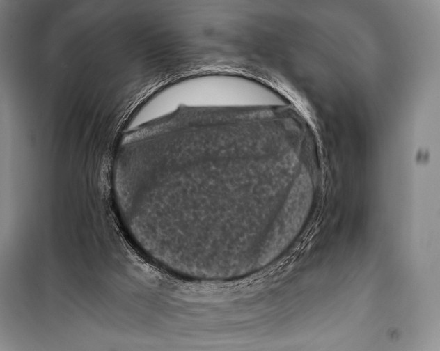 X0000099450009200806061116