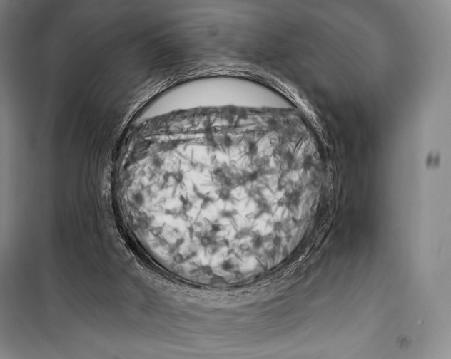 X0000099450010200806061116