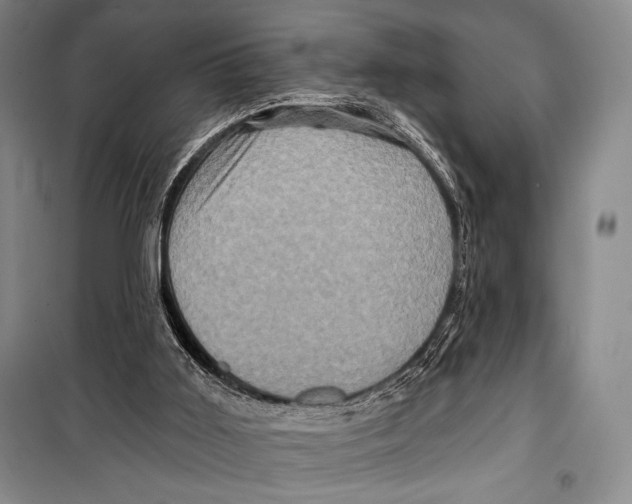 X0000099450011200806061116