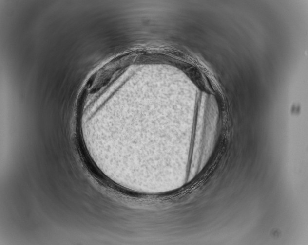 X0000099450012200806061116