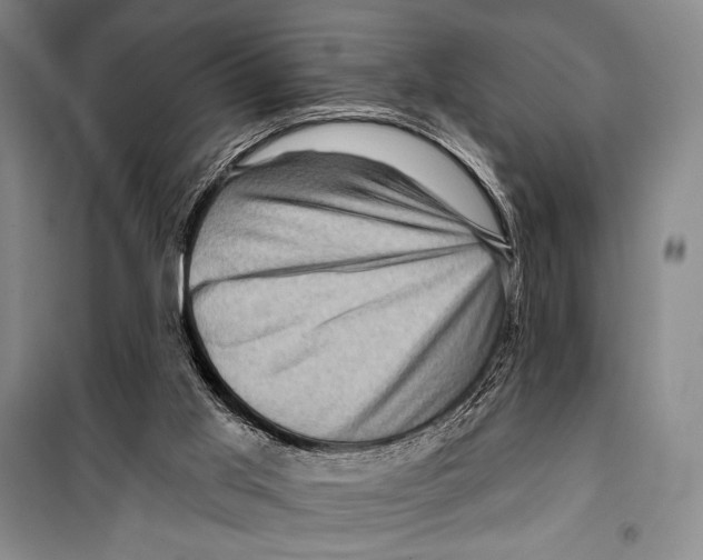 X0000099450013200806061116