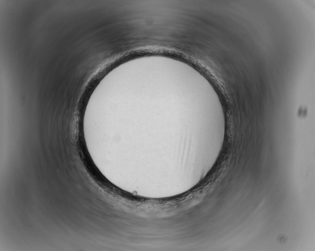 X0000099450016200806061116