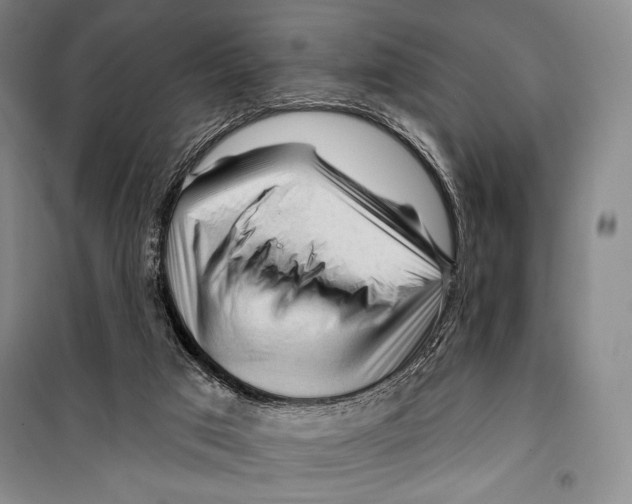 X0000099450017200806061116