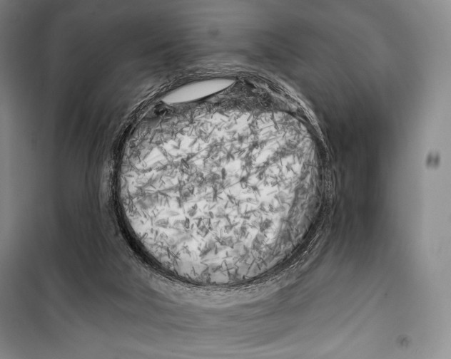 X0000099450018200806061116