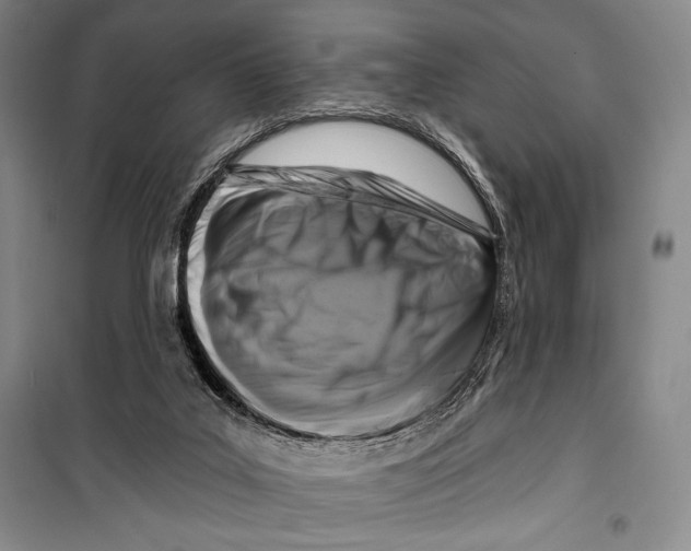 X0000099450019200806061116