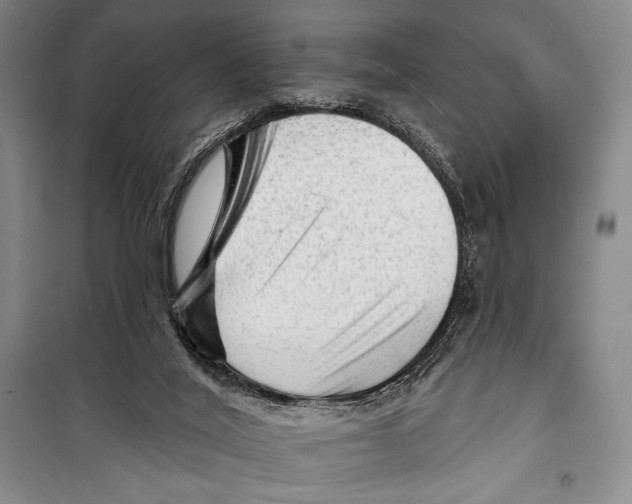 X0000099450020200806061116