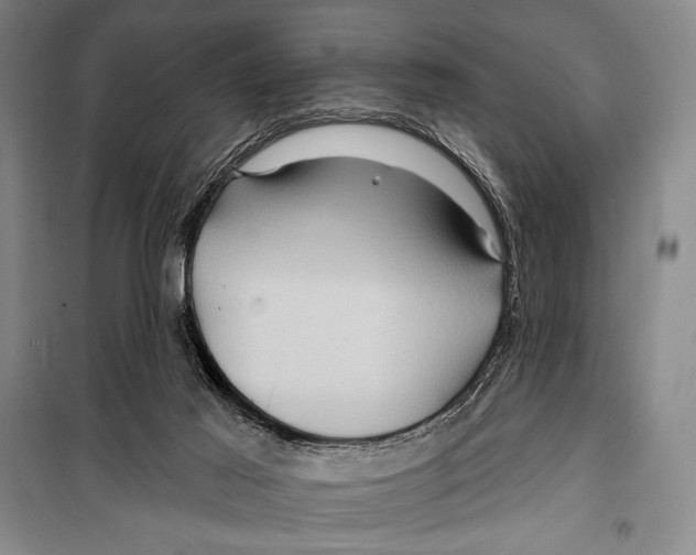 X0000099450021200806061116