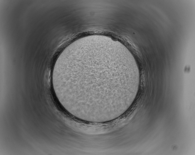 X0000099450024200806061116