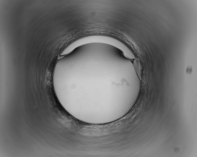 X0000099450025200806061116