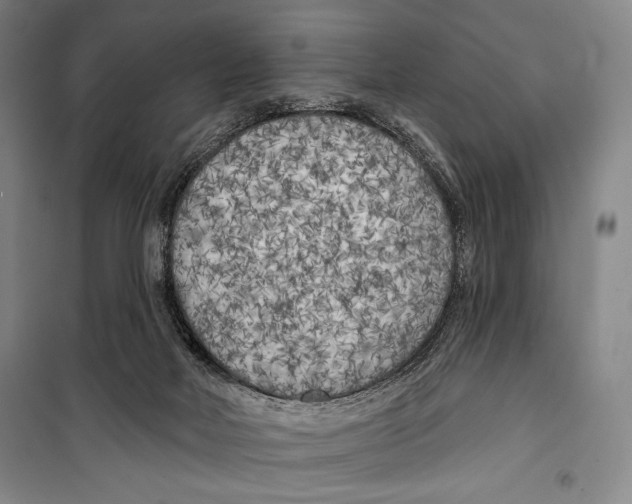 X0000099450026200806061116