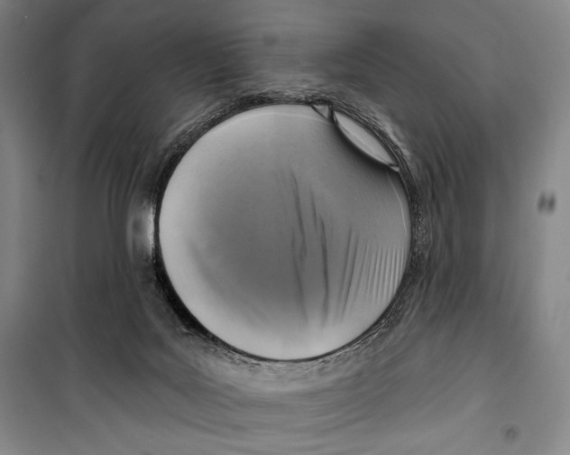 X0000099450027200806061116