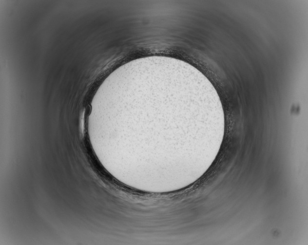 X0000099450028200806061116