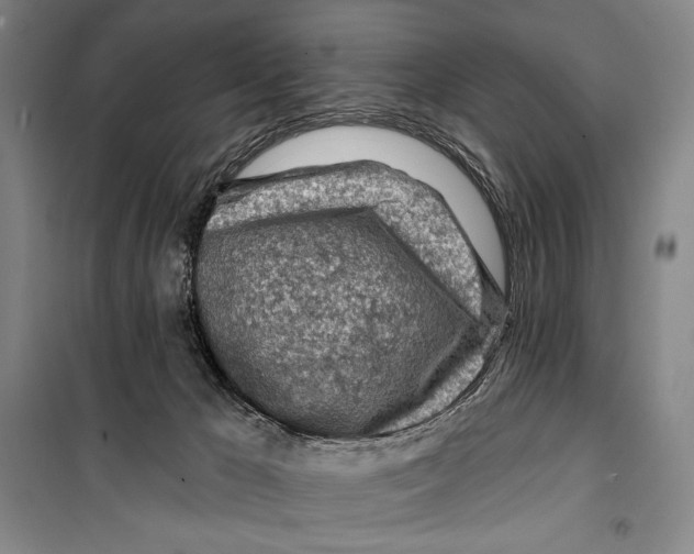 X0000099450029200806061116