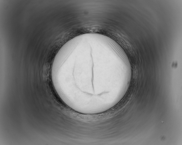 X0000099450030200806061116