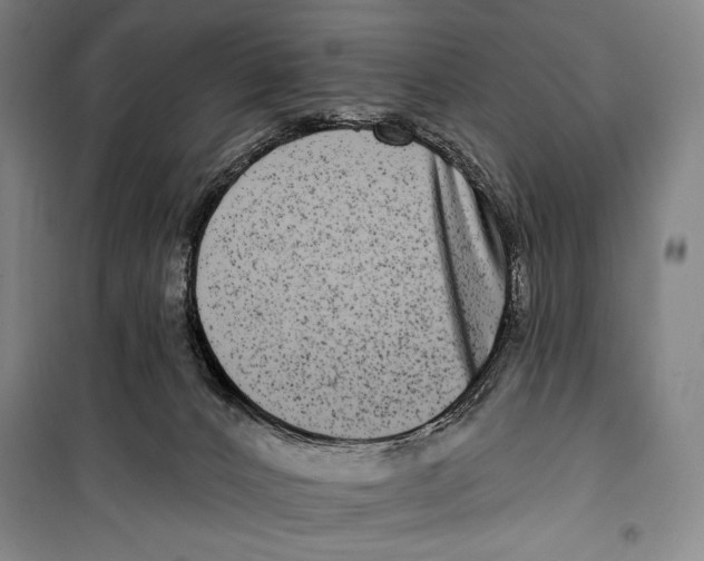 X0000099450032200806061116