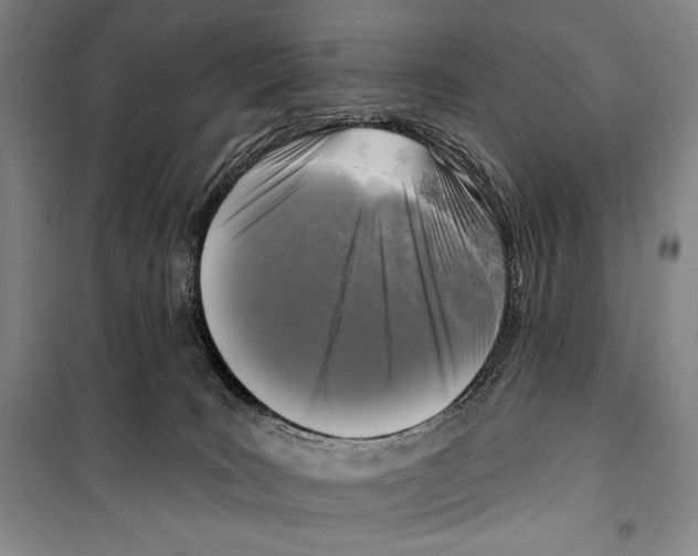 X0000099450035200806061116