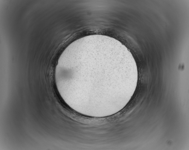 X0000099450036200806061116