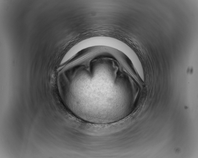 X0000099450037200806061116