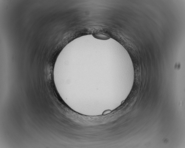 X0000099450038200806061116