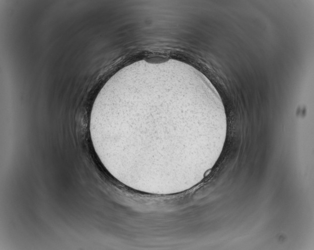 X0000099450040200806061116