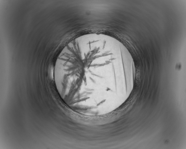 X0000099450046200806061116