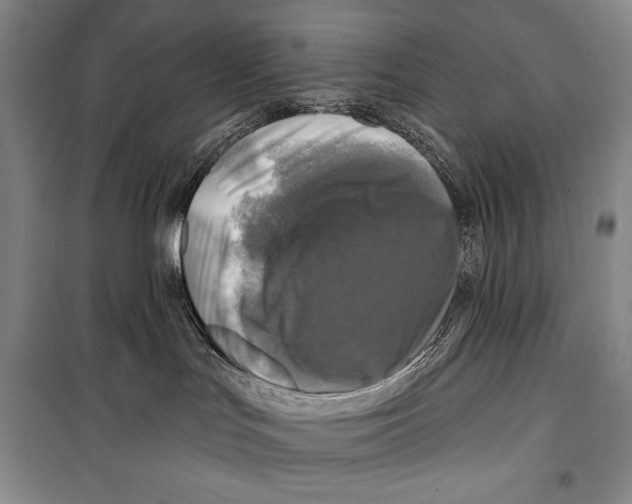 X0000099450047200806061116