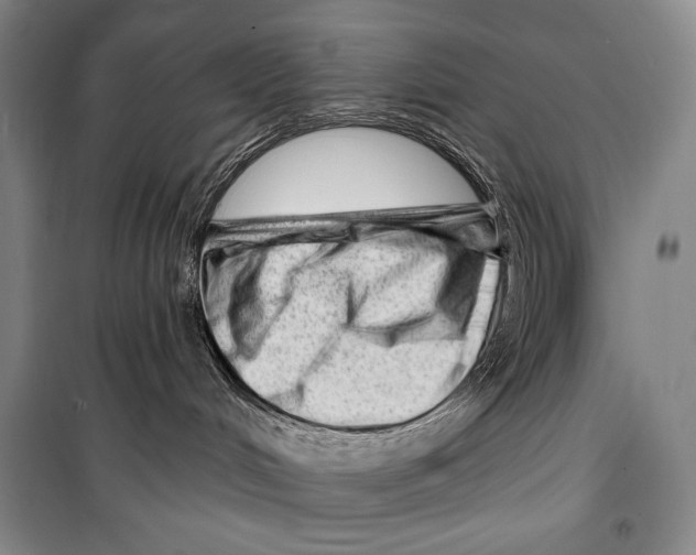 X0000099450048200806061116