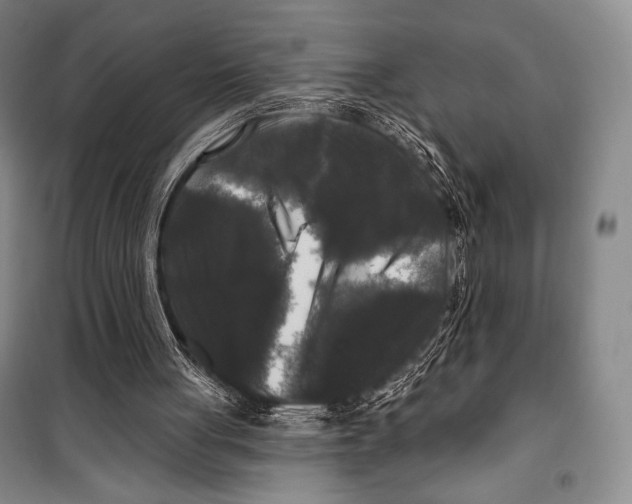 X0000099450051200806061115