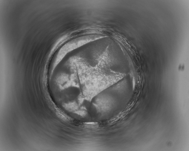 X0000099450053200806061115