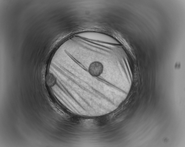 X0000099450058200806061115