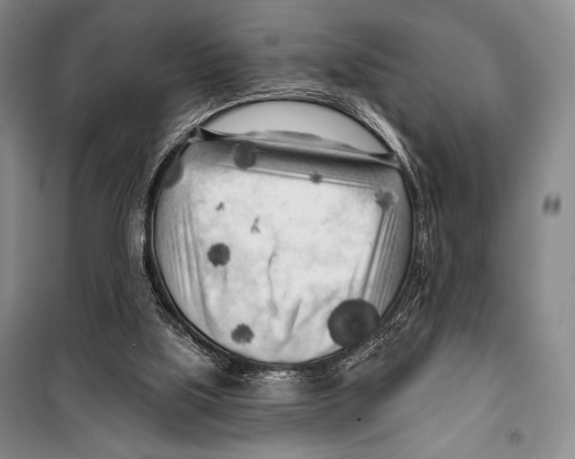 X0000099450059200806061115