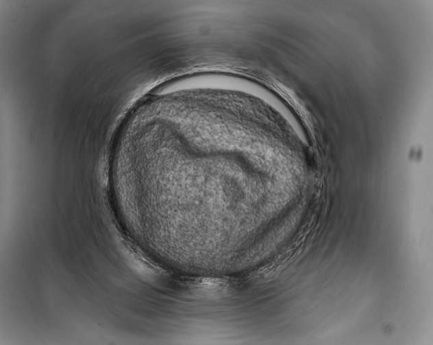 X0000099450060200806061115