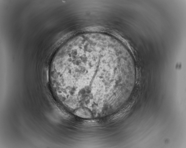 X0000099450061200806061115