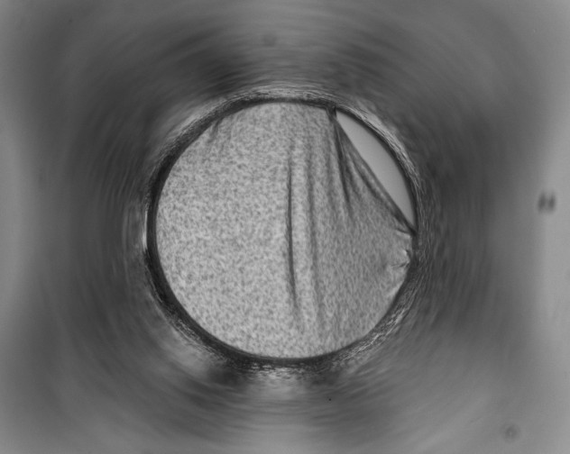 X0000099450062200806061115