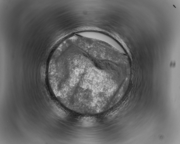 X0000099450063200806061115